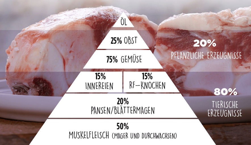 Futterpyramide